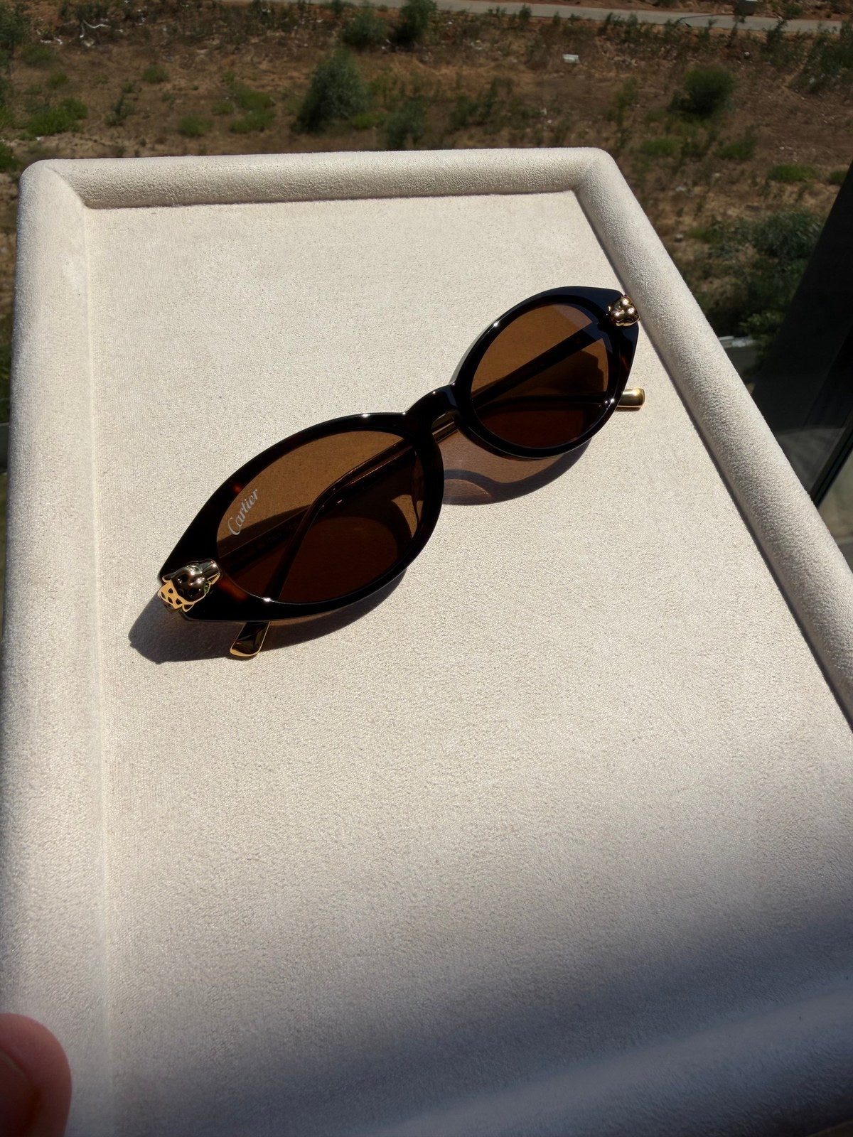 Image of Cartier - sunglasses במלאי