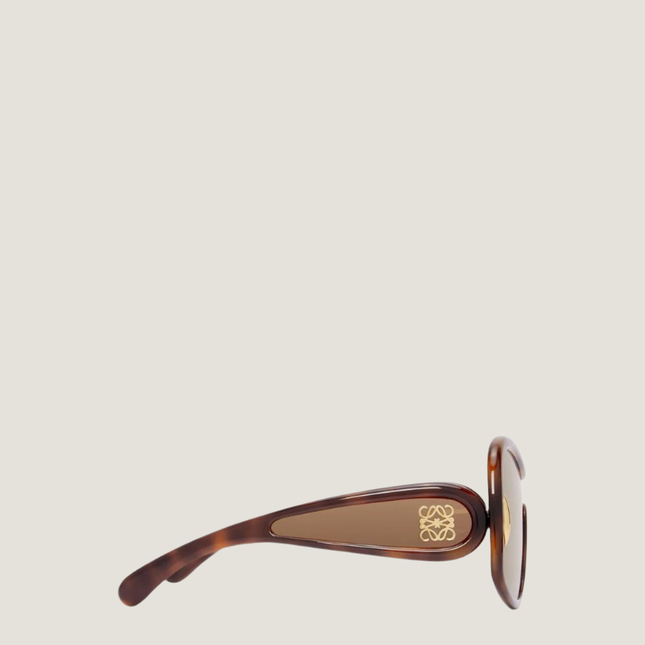 משקפי שמש LOEWE
