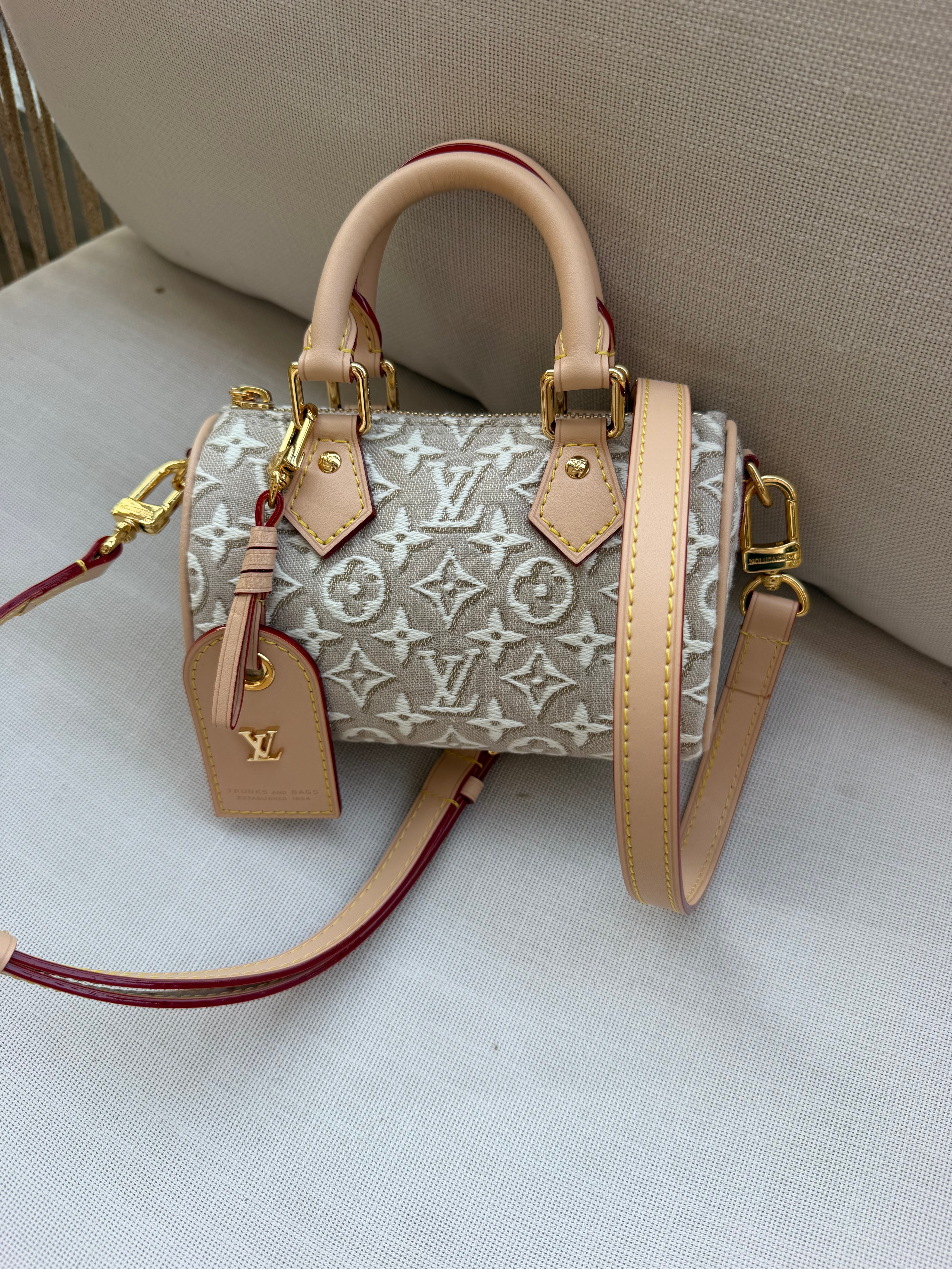 Image of LV nano bag במלאי