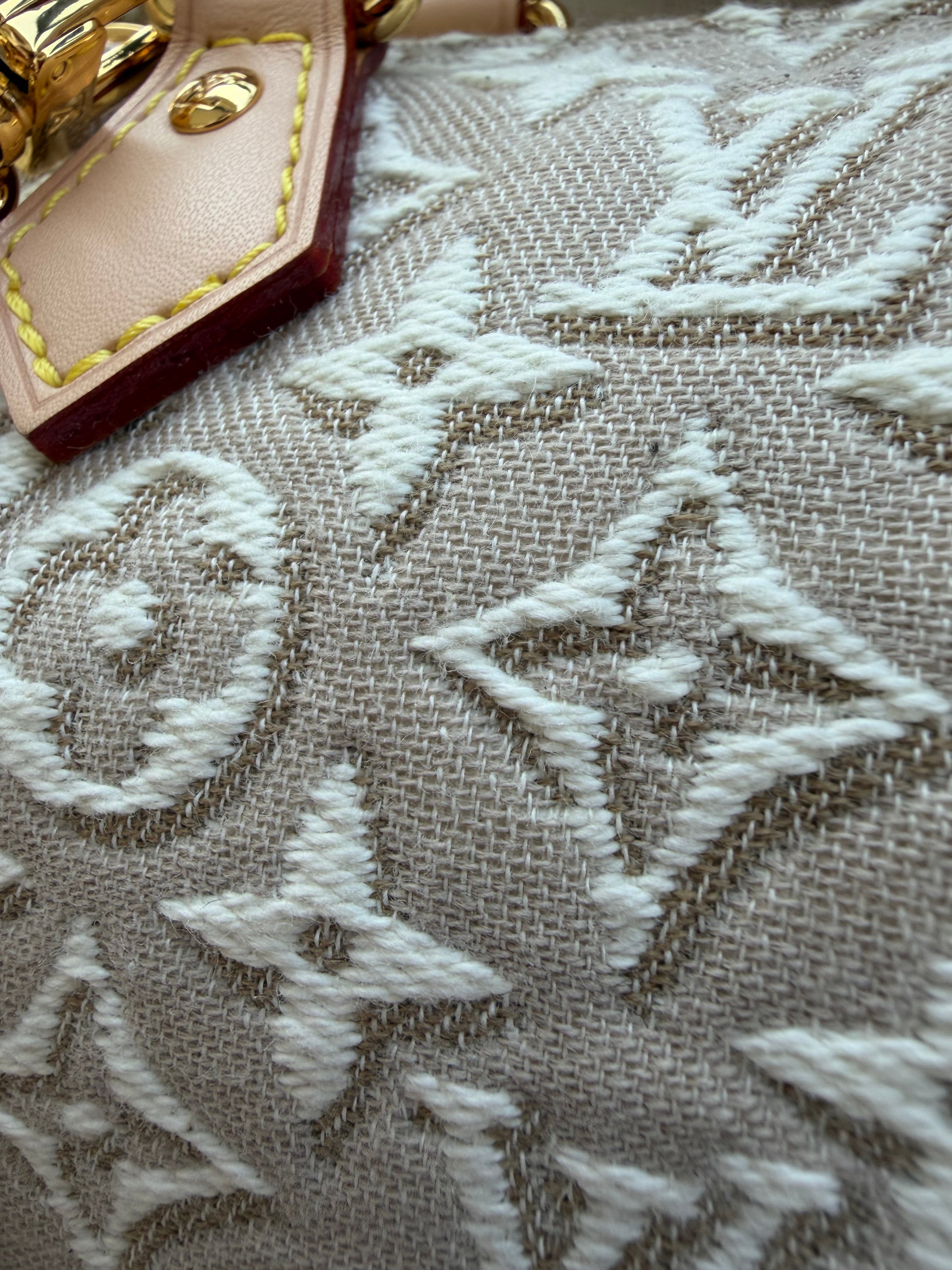 Image of LV nano bag במלאי