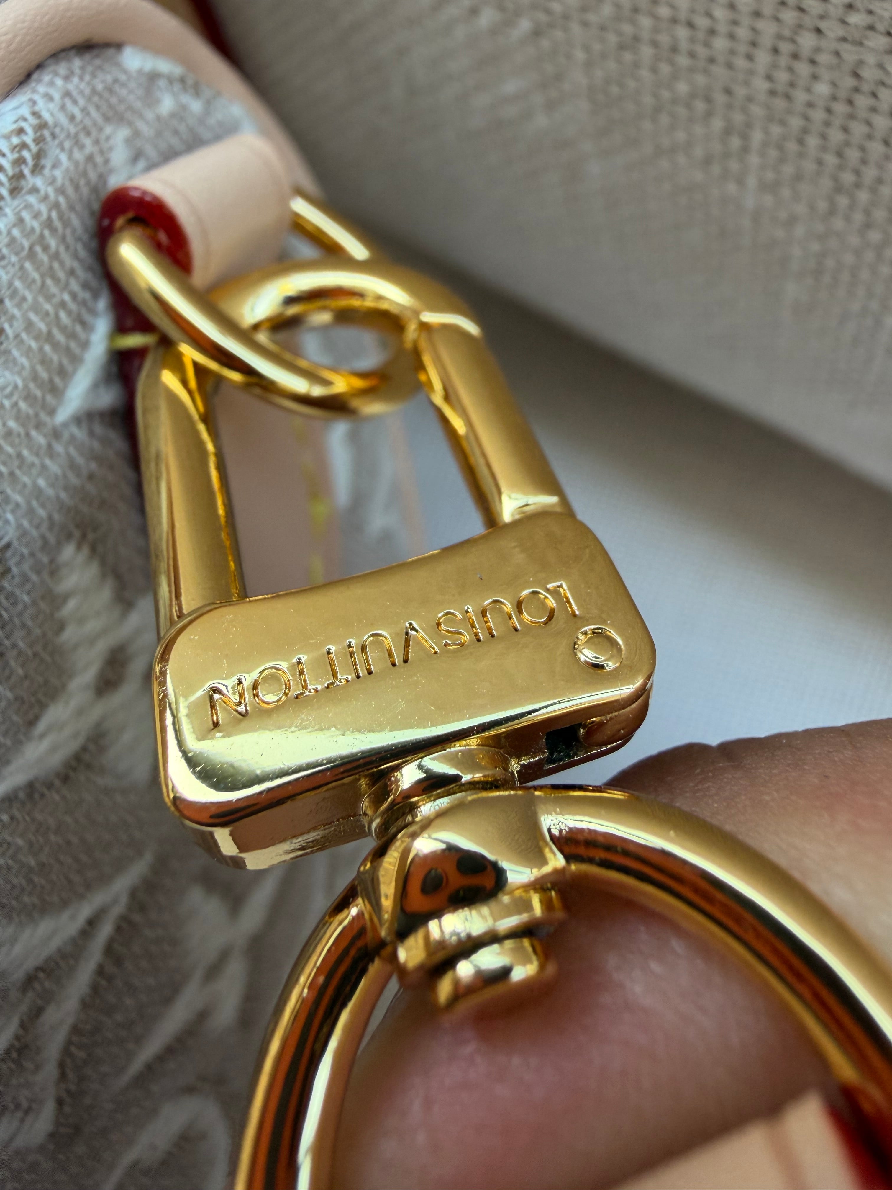 Image of LV nano bag במלאי