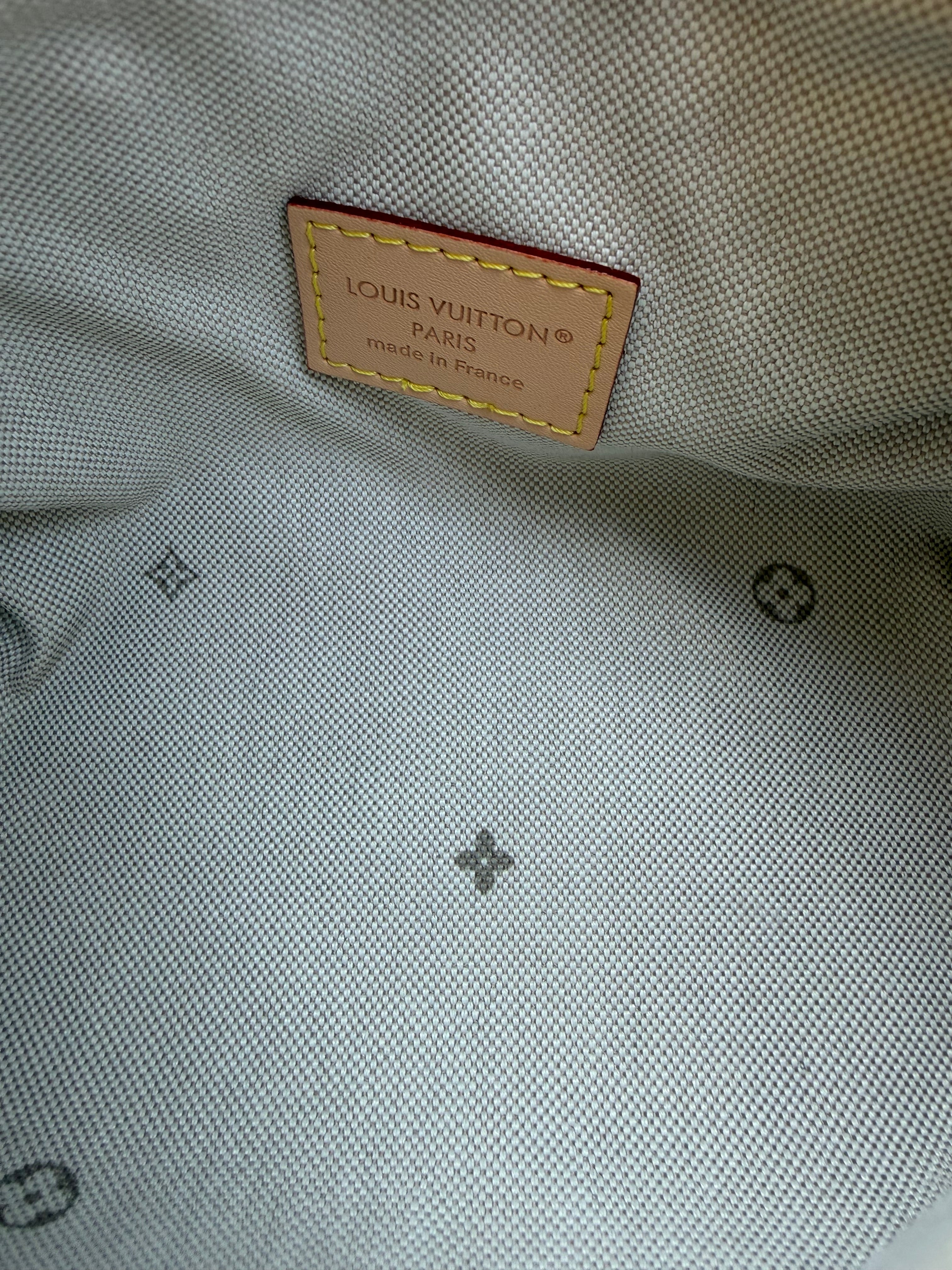 Image of LV nano bag במלאי