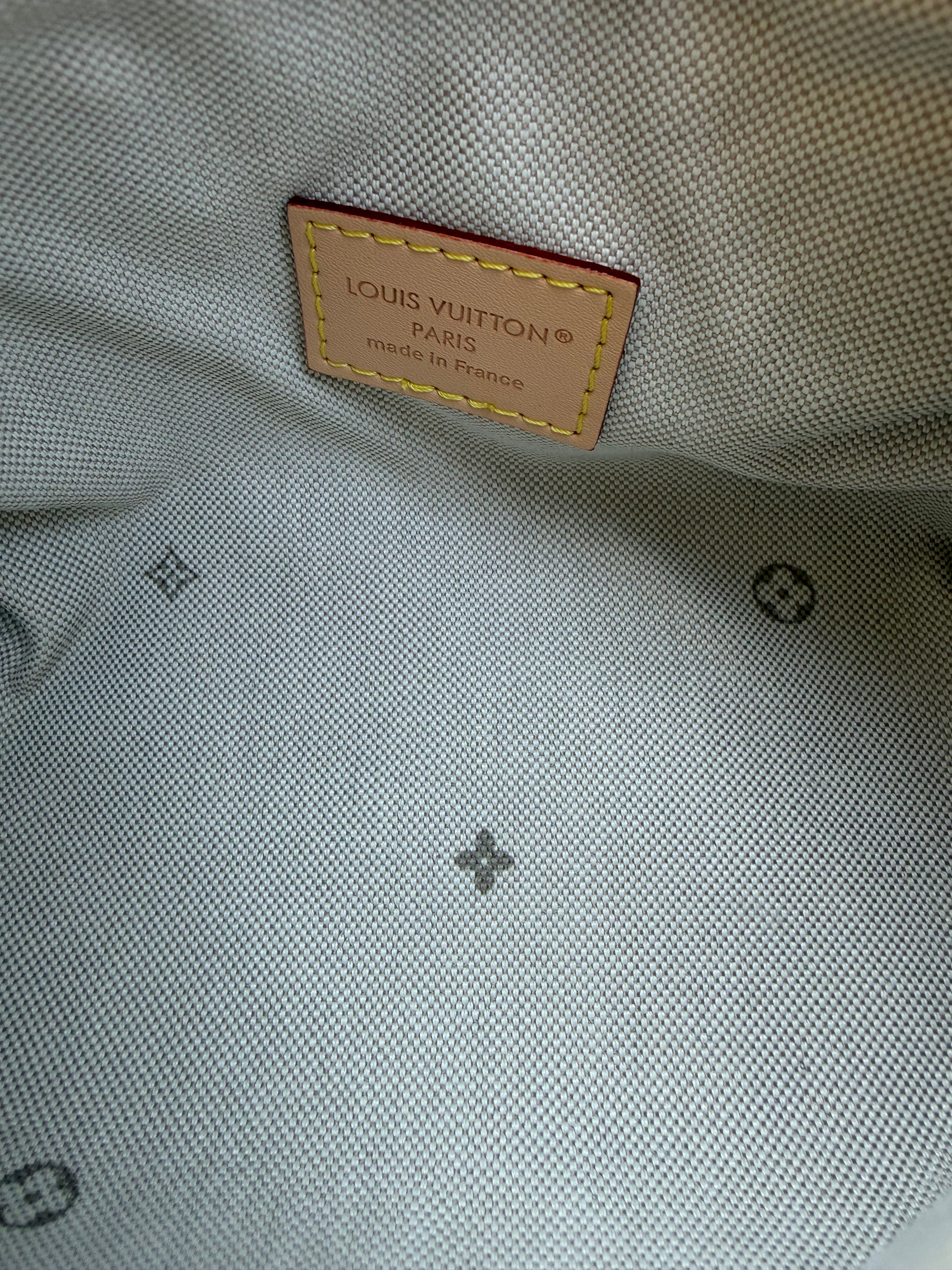 LV nano bag במלאי