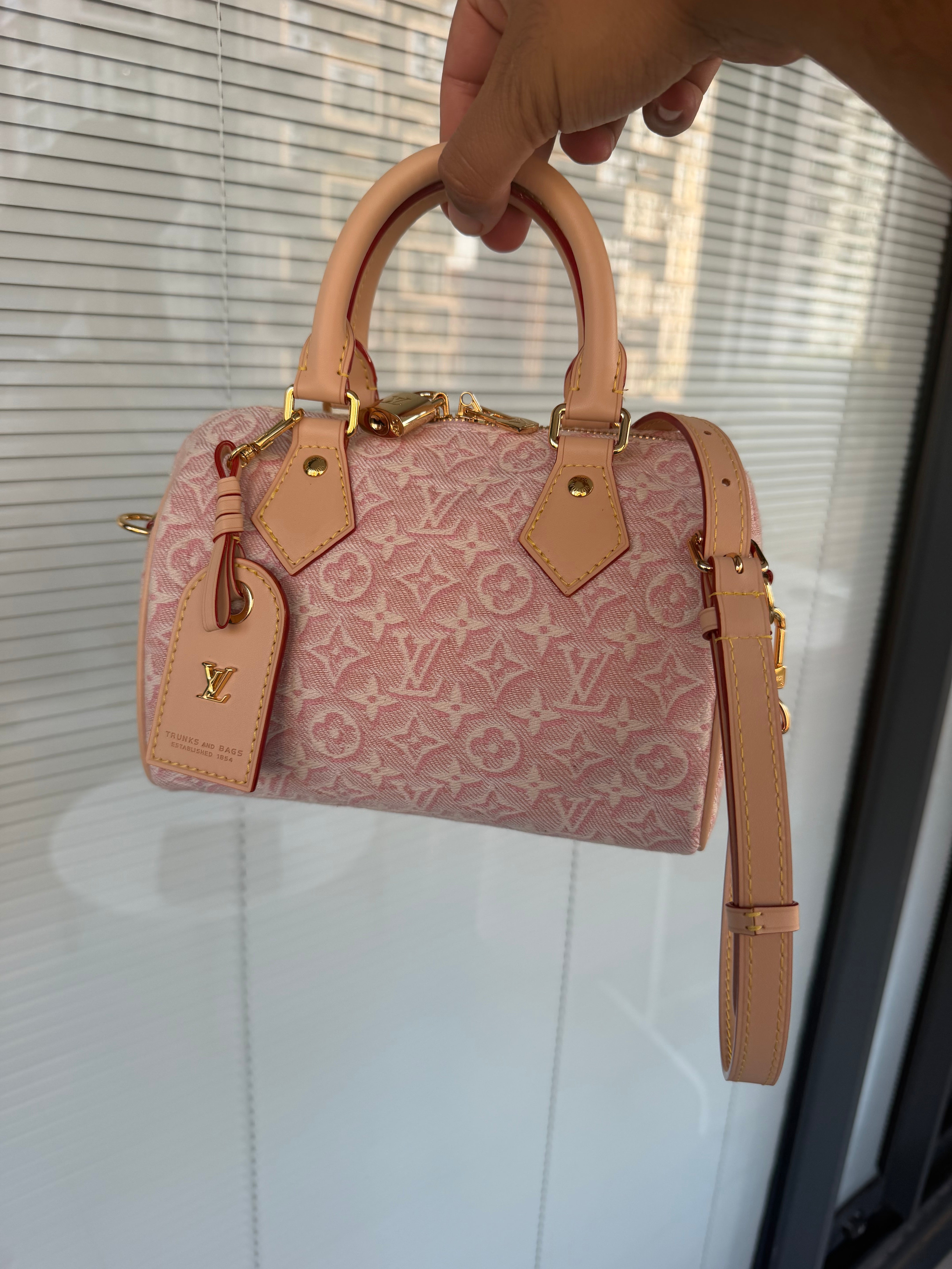 Image of LV speedy bag במלאי