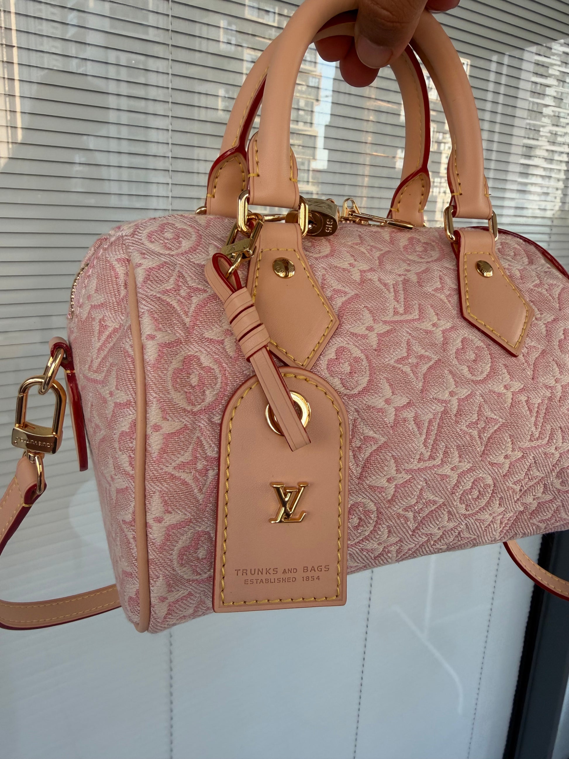 LV speedy bag במלאי