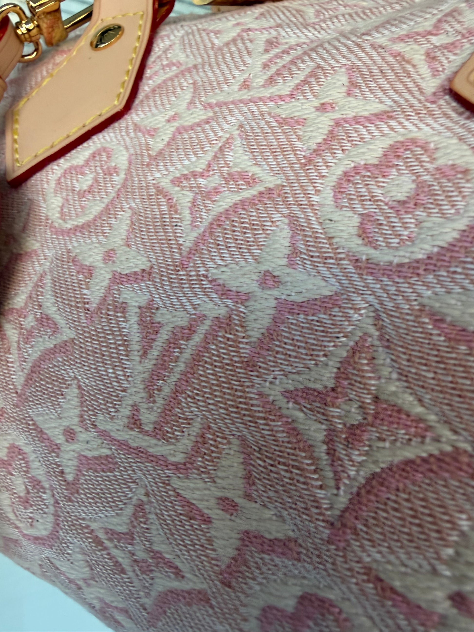 LV speedy bag במלאי