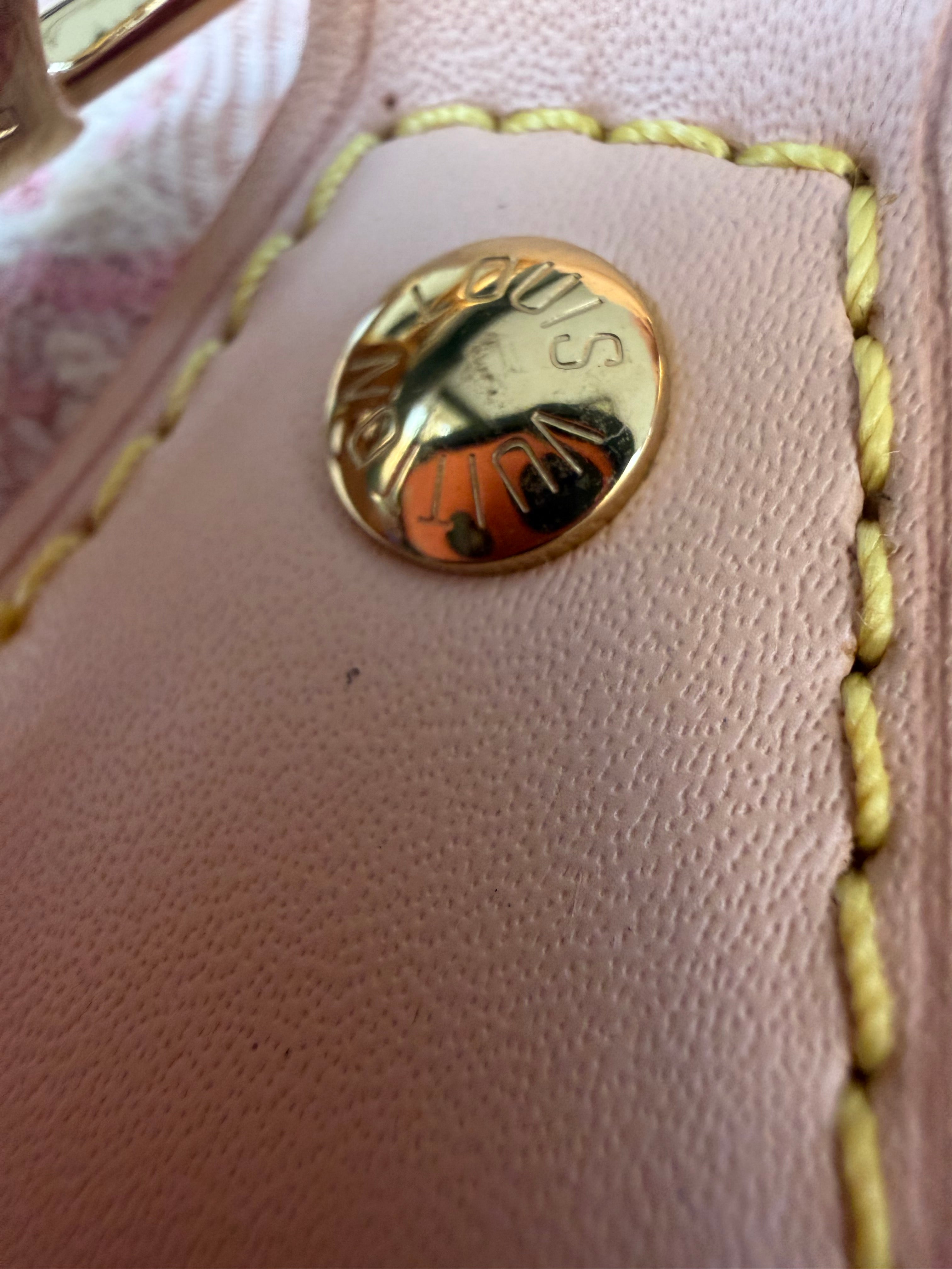 Image of LV speedy bag במלאי