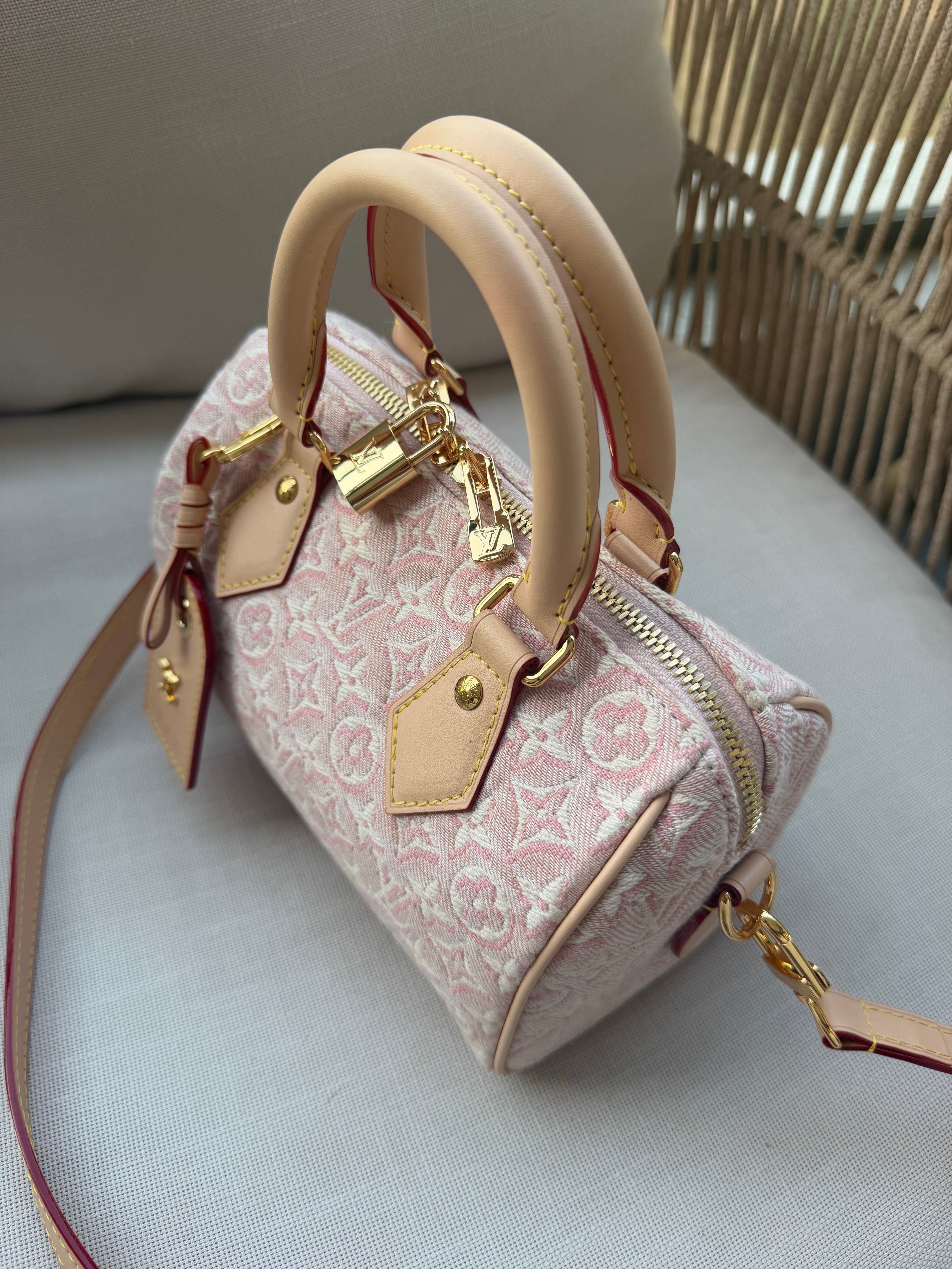 Image of LV speedy bag במלאי