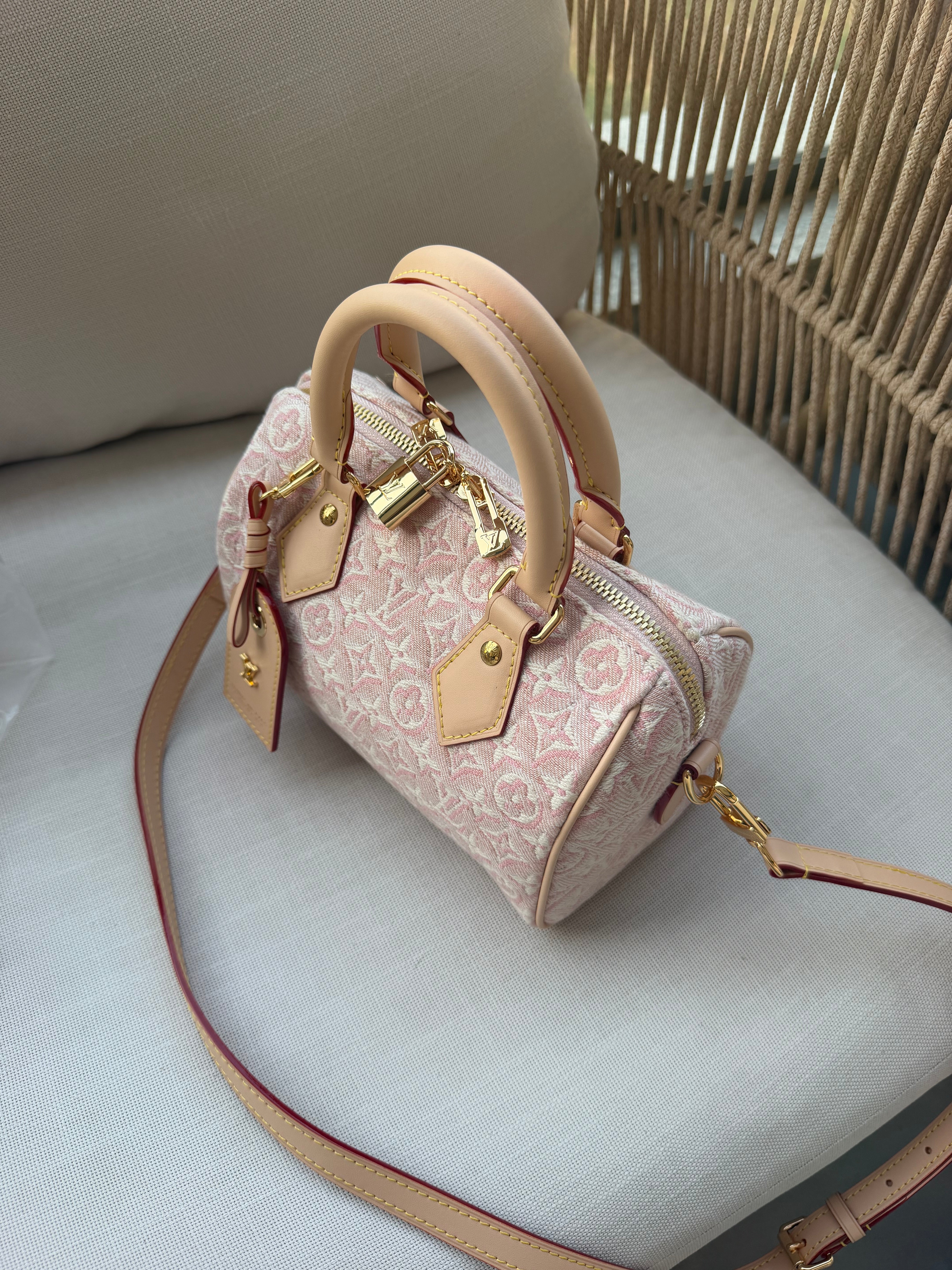 Image of LV speedy bag במלאי