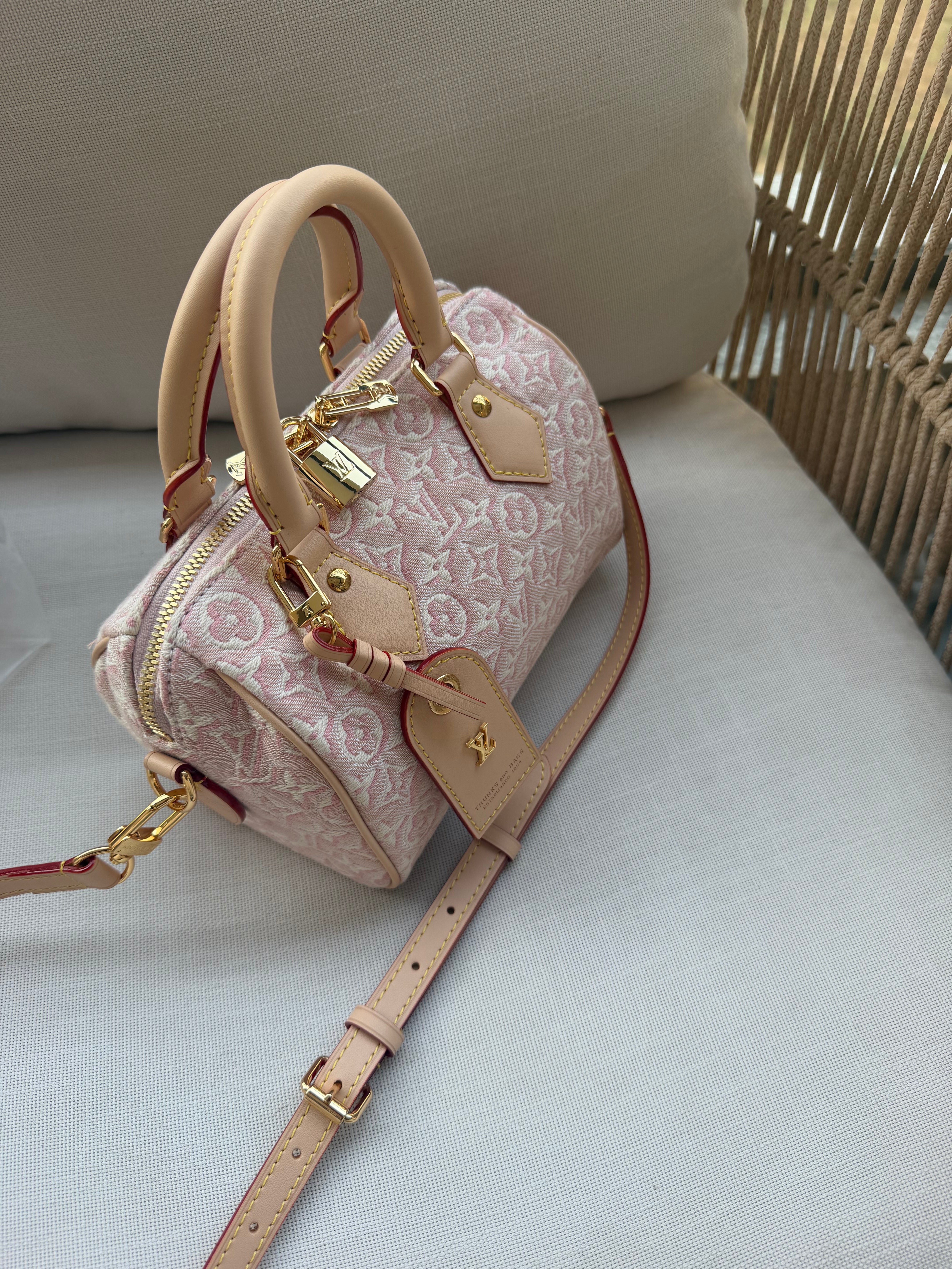 Image of LV speedy bag במלאי