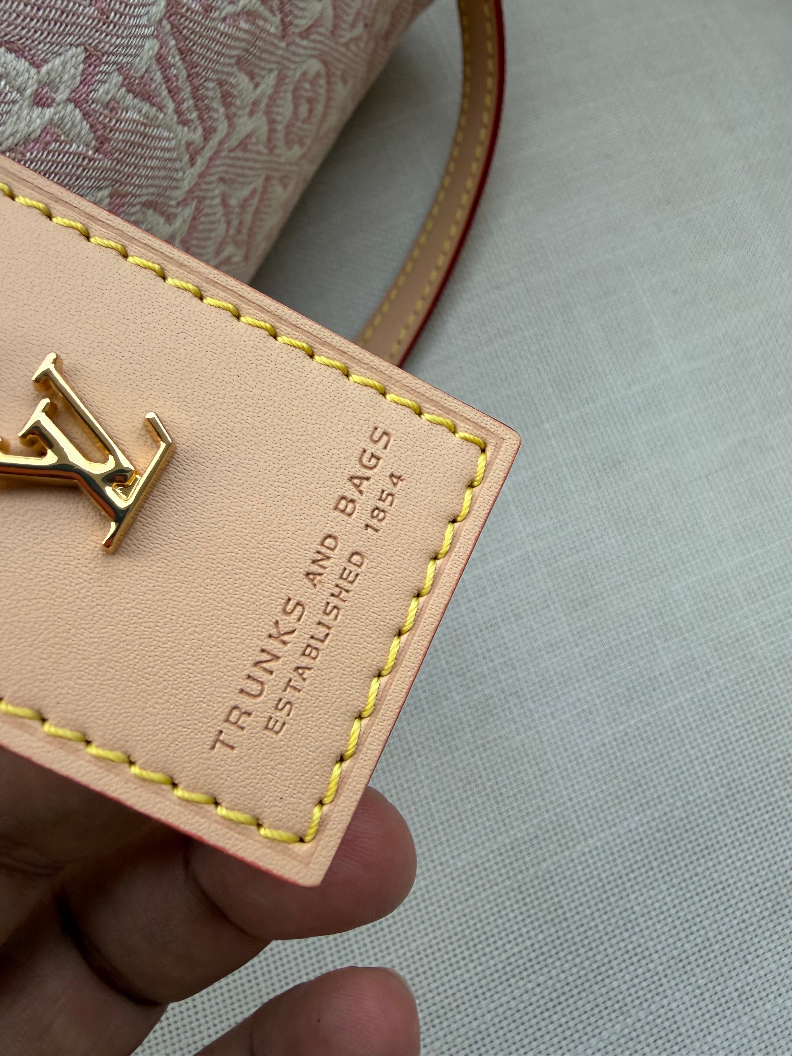 Image of LV speedy bag במלאי