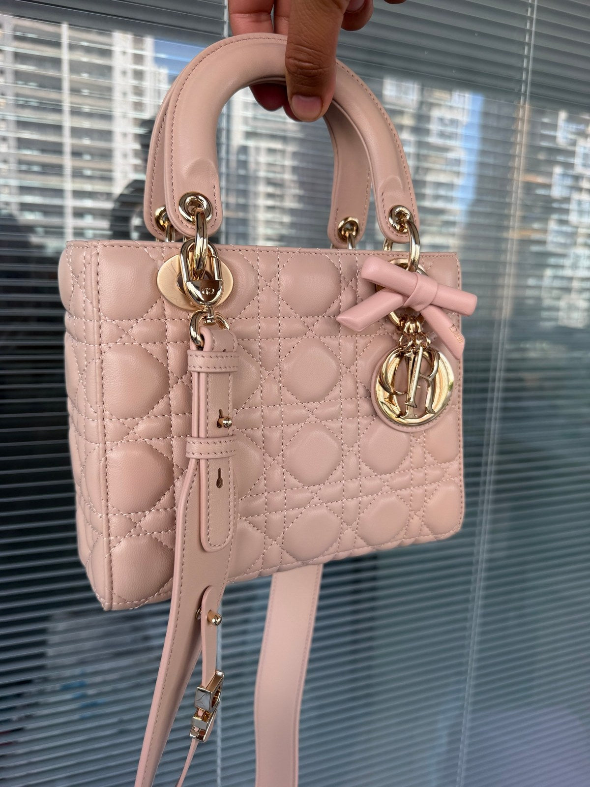 DIOR lady small במלאי