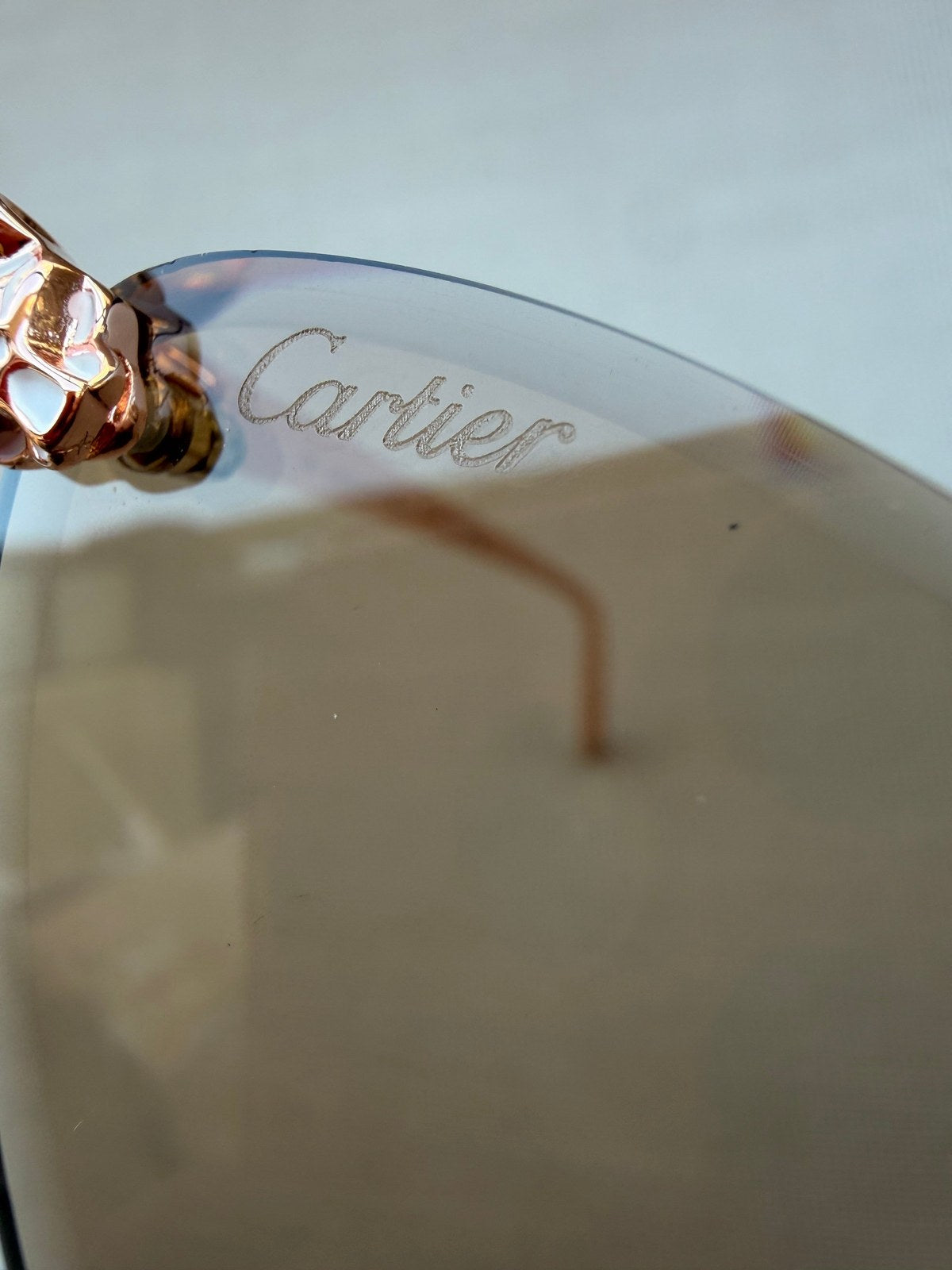 Image of Cartier - sunglasses במלאי