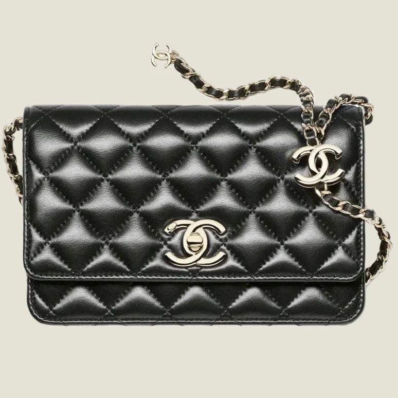 Chanel bag במלאי