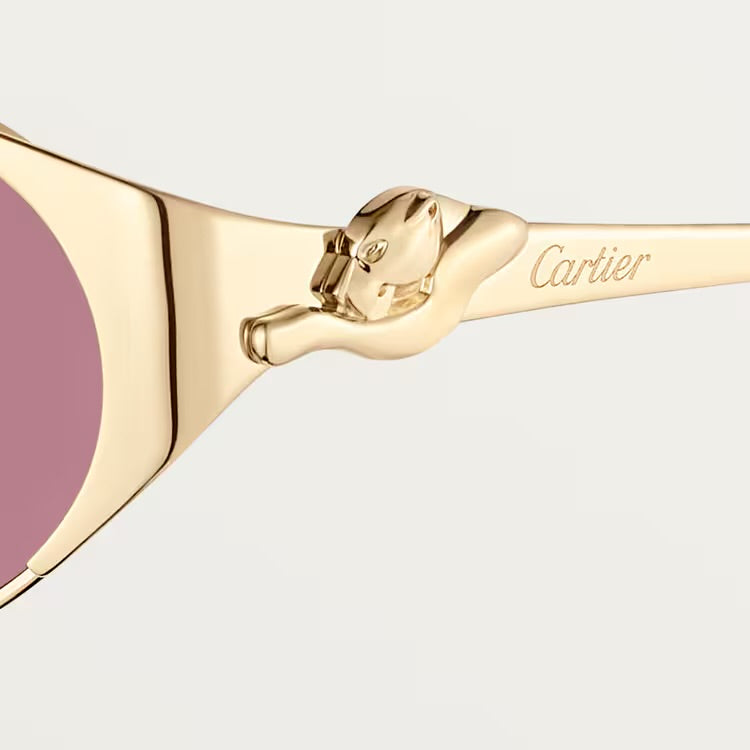 Image of Cartier - sunglasses