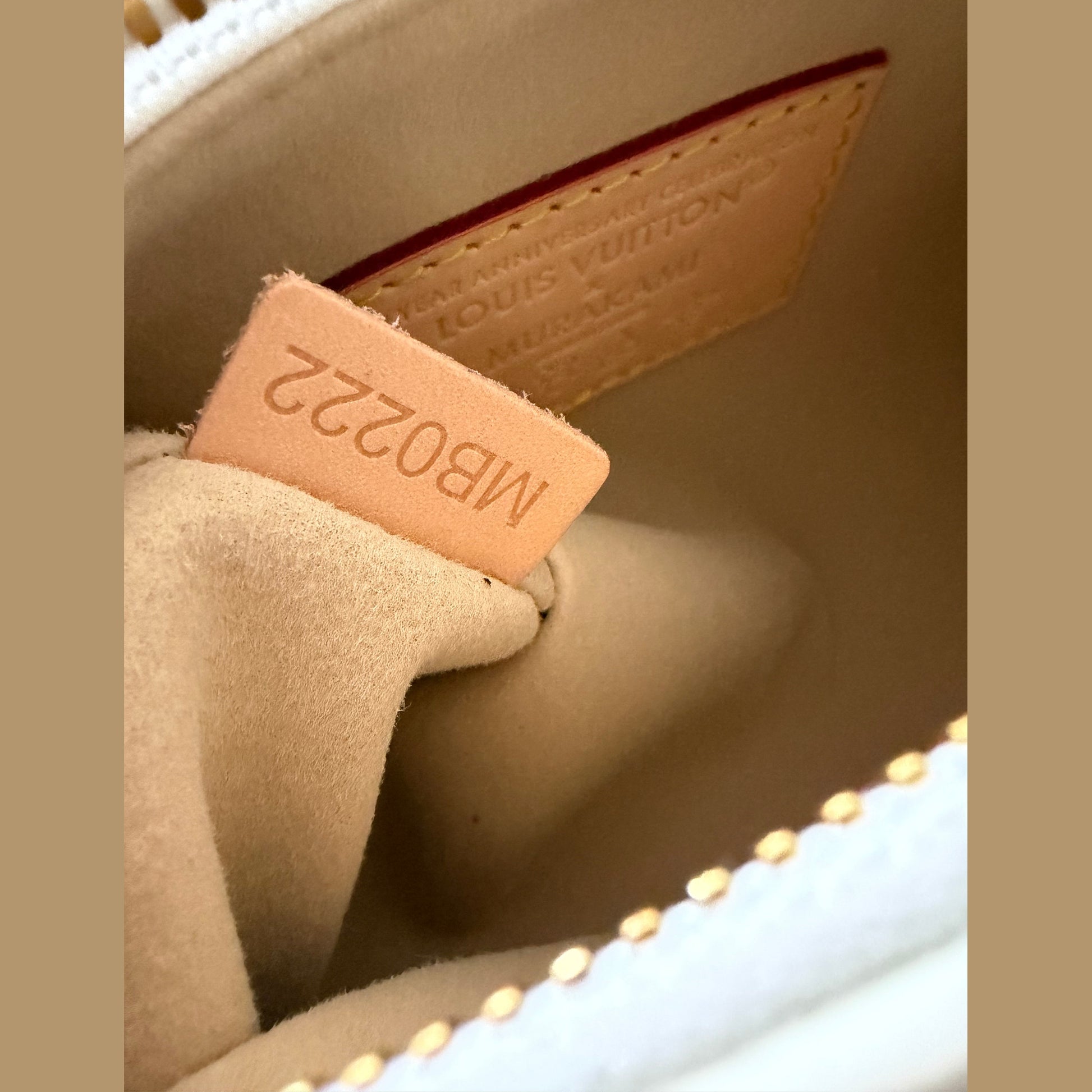 LV nano bag במלאי