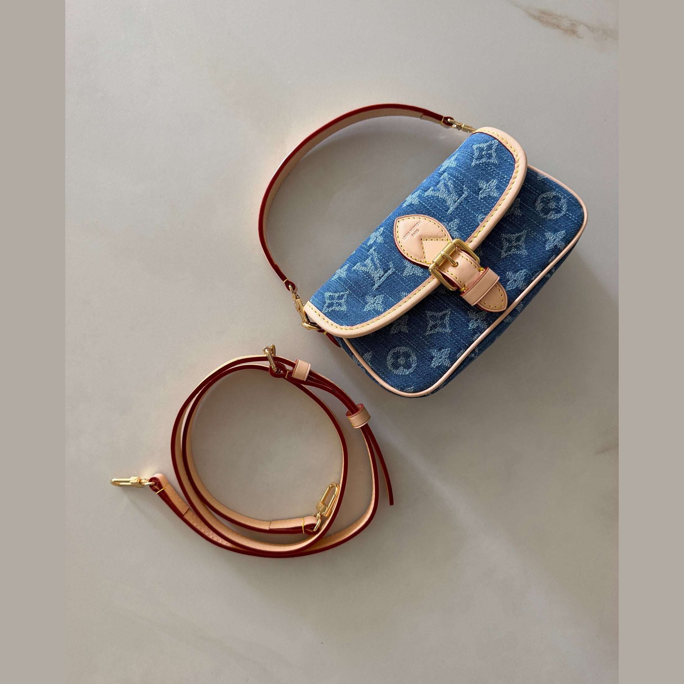 Image of LV nano bag במלאי