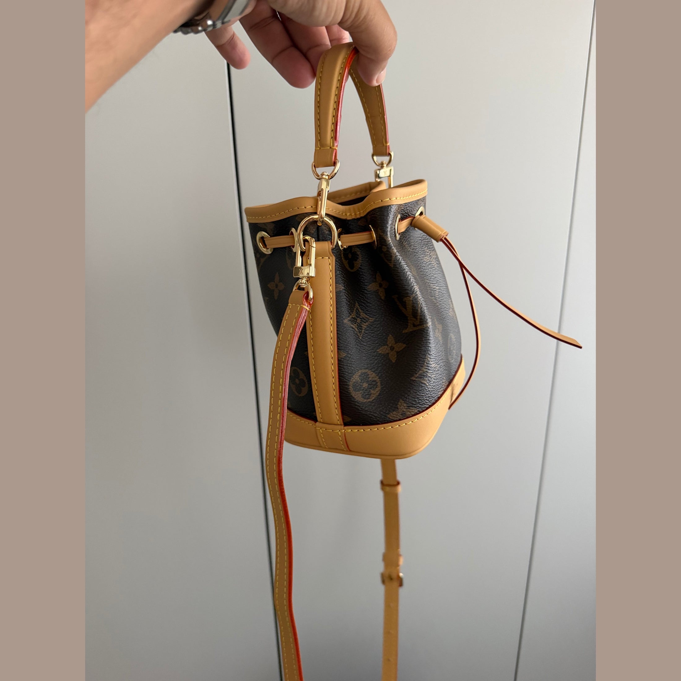 Image of LV nano bag במלאי