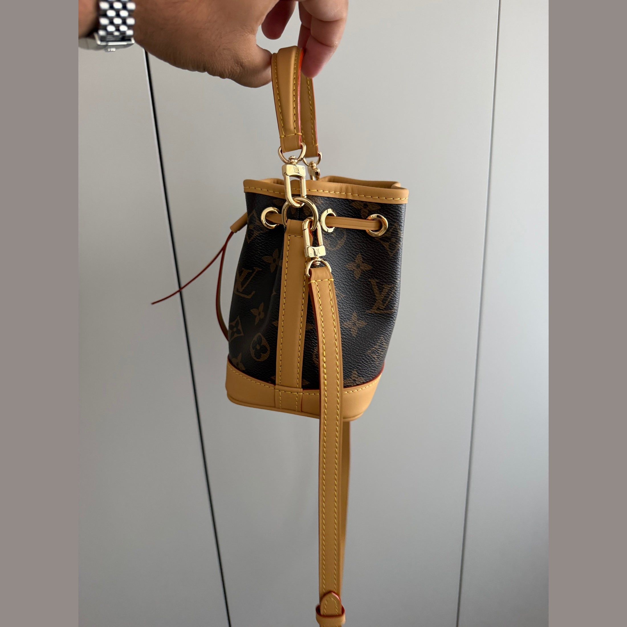 Image of LV nano bag במלאי