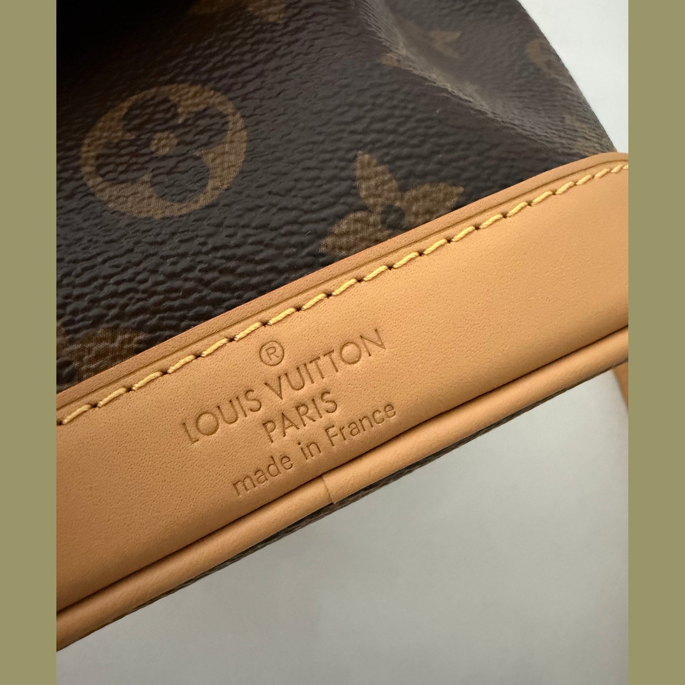Image of LV nano bag במלאי
