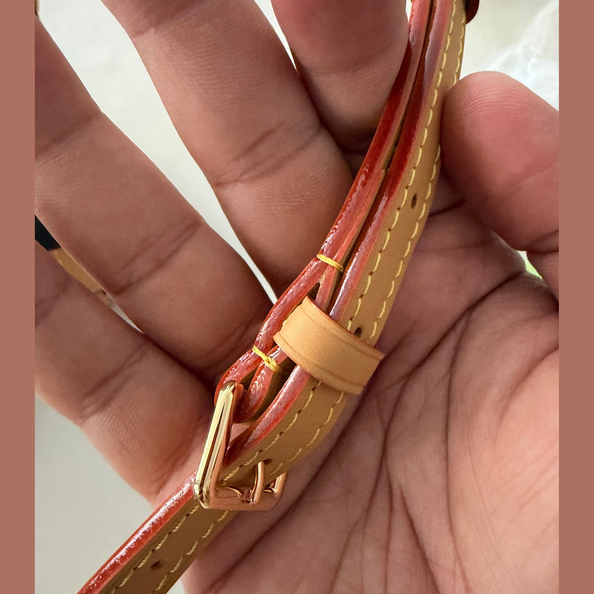 LV nano bag במלאי