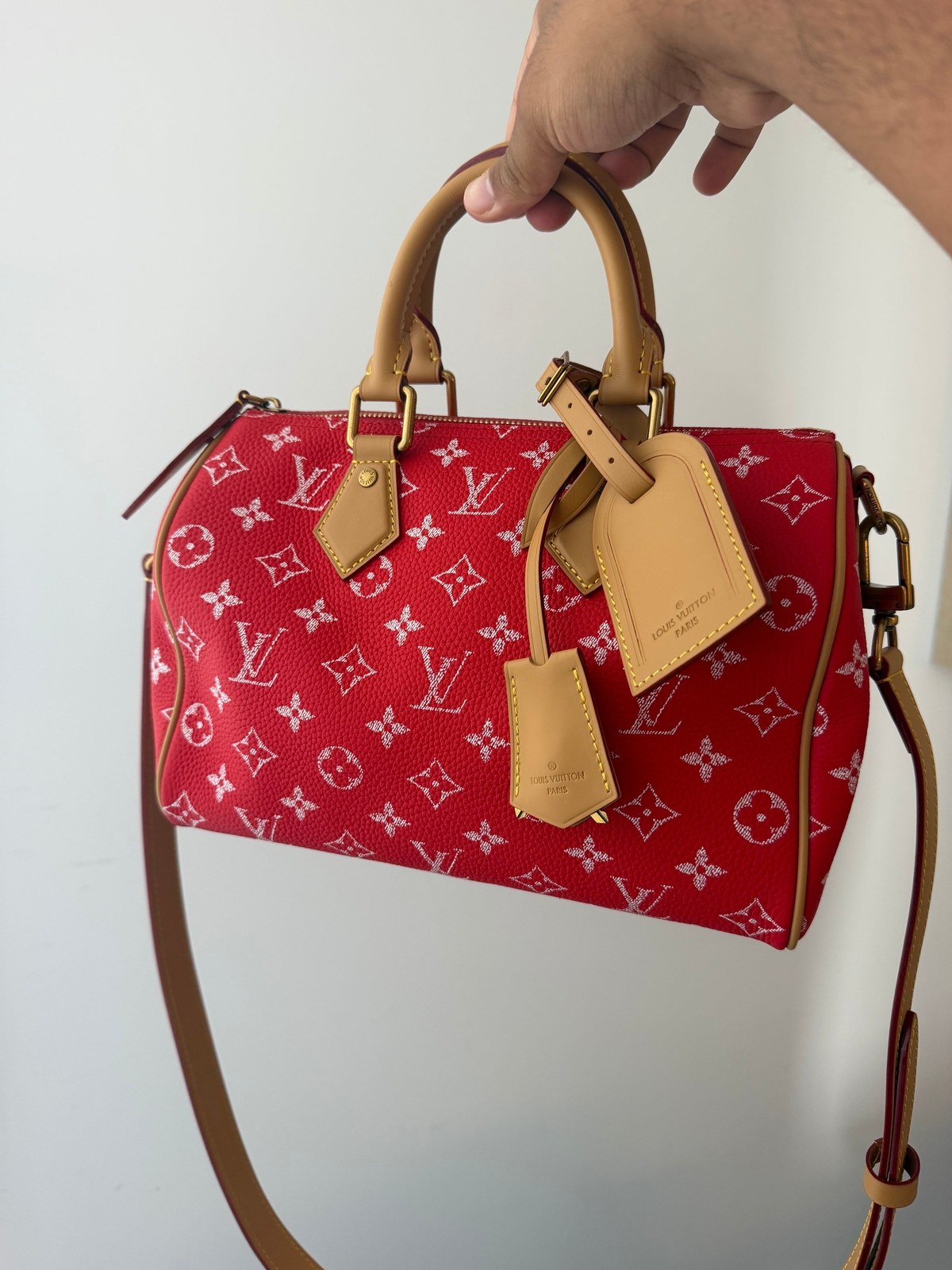 Image of LV speedy P9 25 במלאי