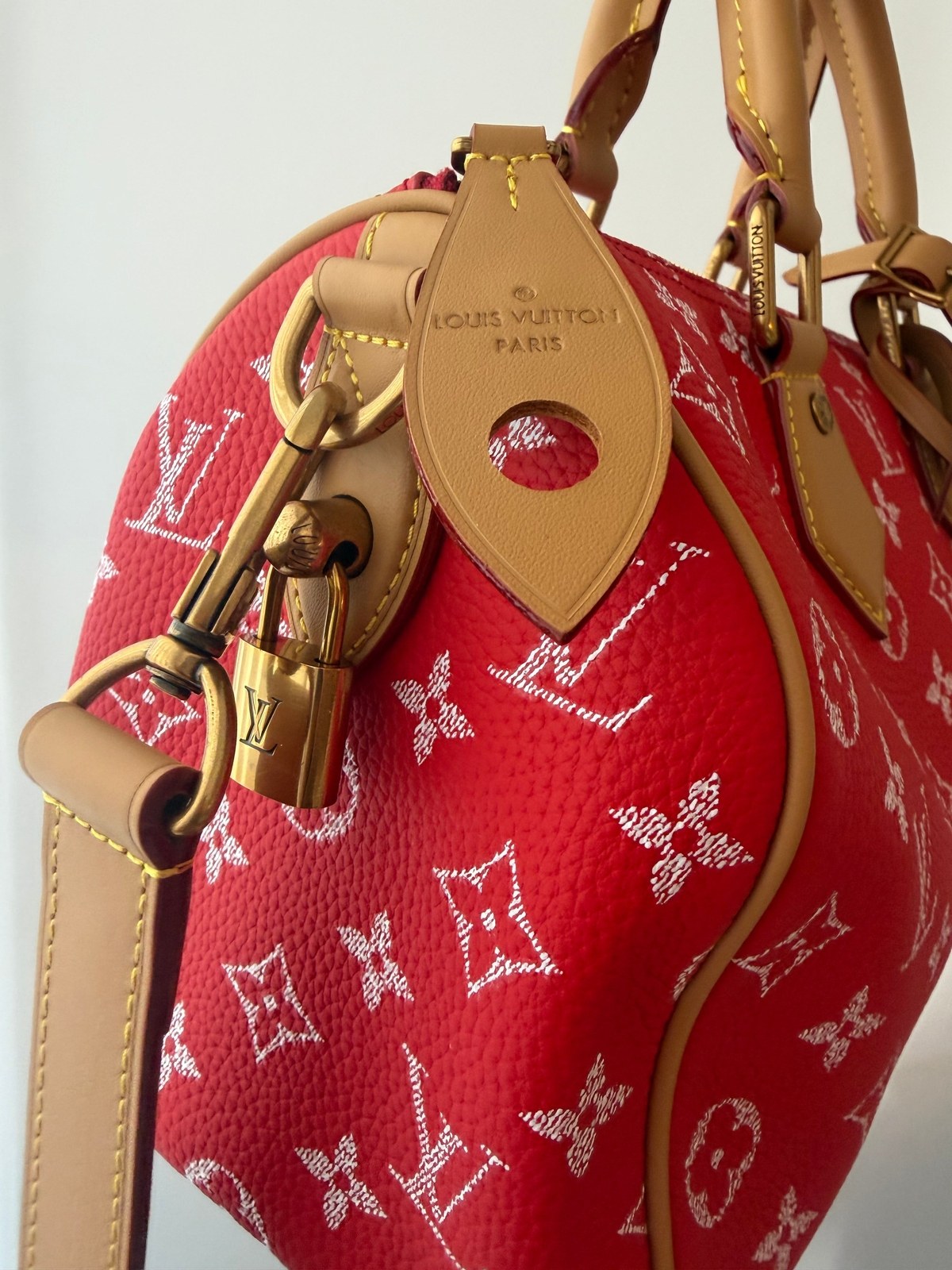 Image of LV speedy P9 25 במלאי