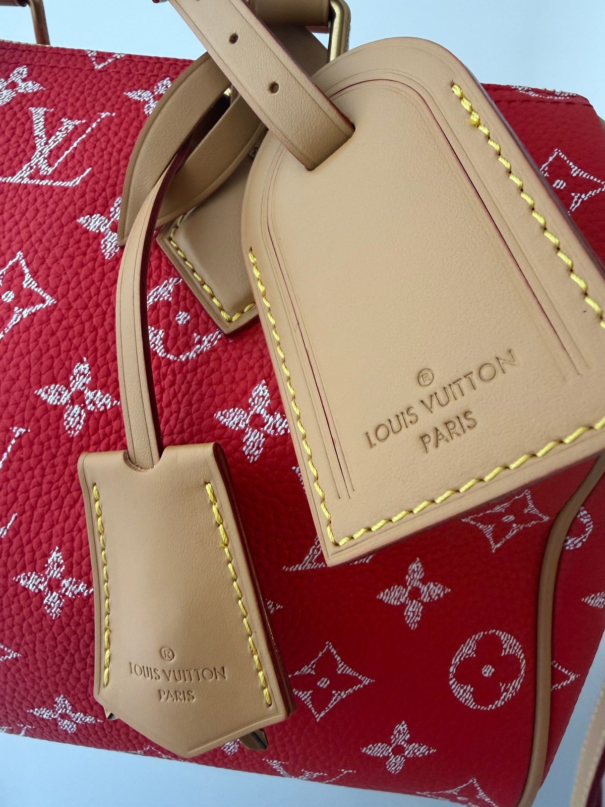 Image of LV speedy P9 25 במלאי