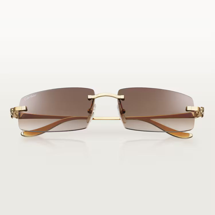Image of Cartier - sunglasses