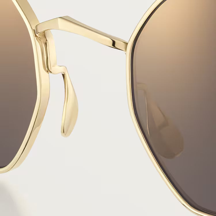 Image of Cartier - sunglasses