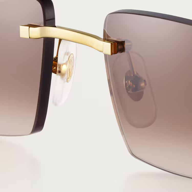 Image of Cartier - sunglasses
