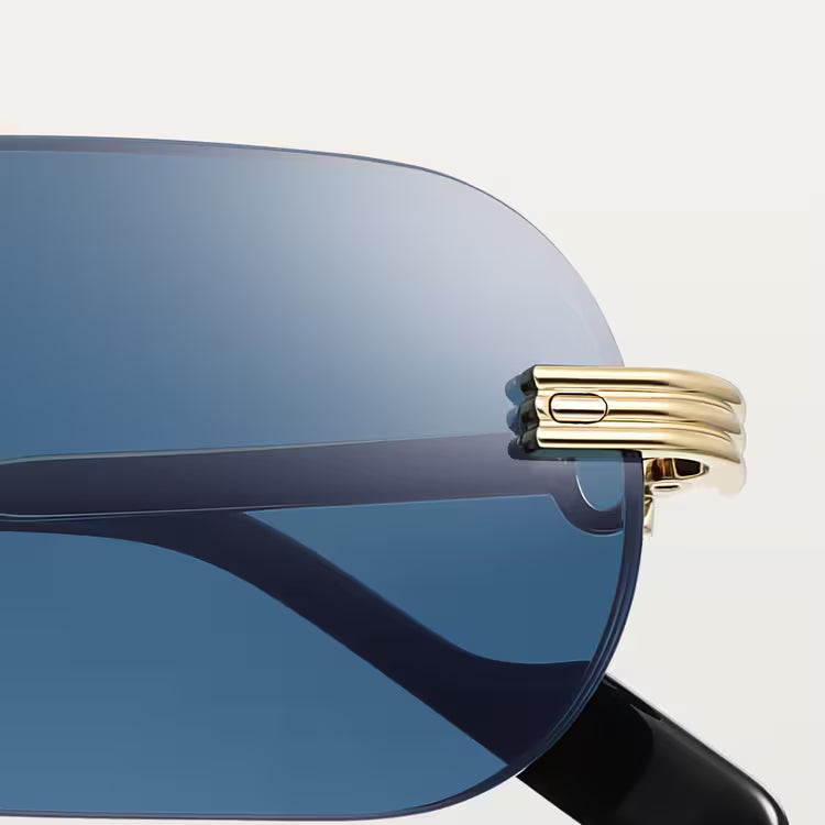 Image of Cartier - sunglasses