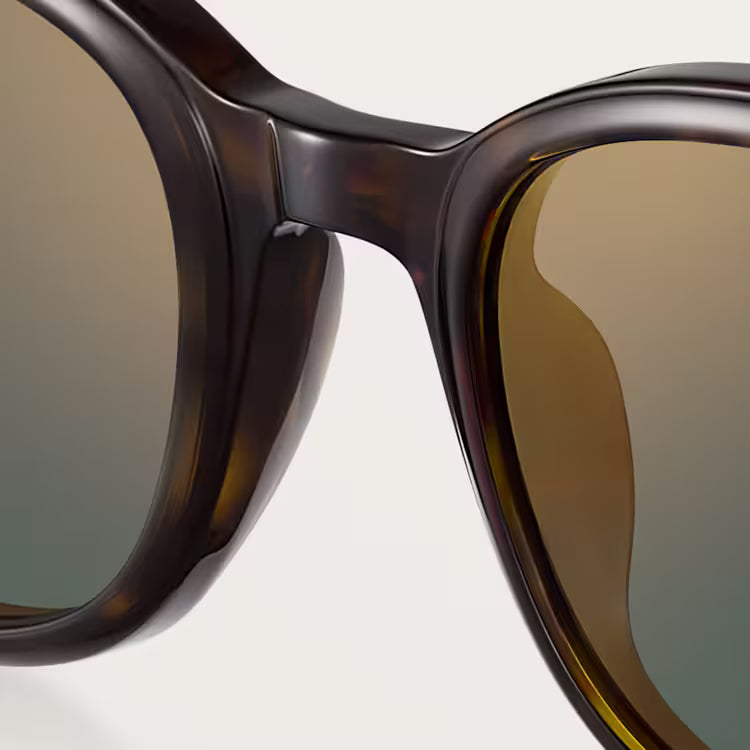 Image of Cartier - sunglasses