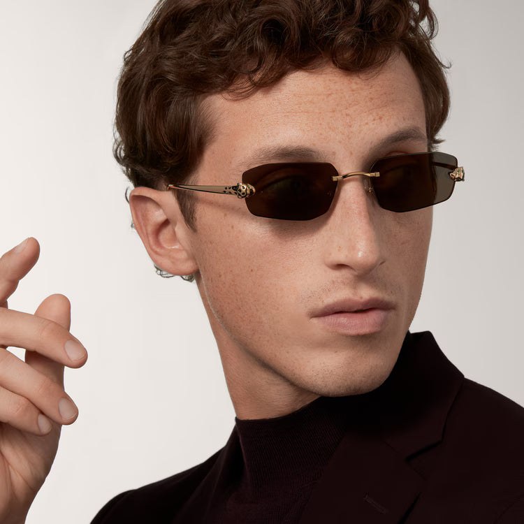 Image of Cartier - sunglasses