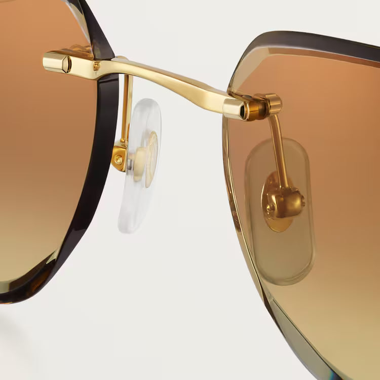 Image of Cartier - sunglasses